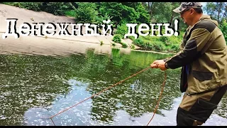 Денежный день! Поисковый магнит рулит!