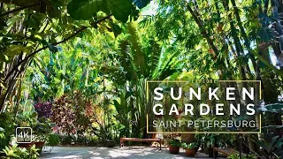 St. Pete's Sunken Gardens: Nature's Hidden Retreat 4K HD