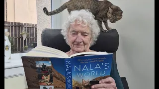 Family time - Cat NALA visits my gran ❤️