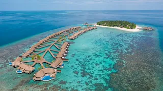 Webinar from Intour Maldives:  Bright and cool – W Maldives