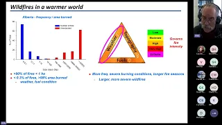 The Impact of Wildfires on Watersheds