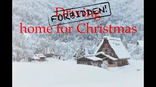 Staying Home for Christmas (parody)