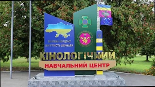 Поради кінолога