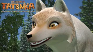 Tatonka la Compil | Le chemin de Topa | Dessins animés de loups