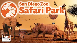 San Diego Zoo Safari Park: Top 10 Tips, Park Tour & Animal Guide