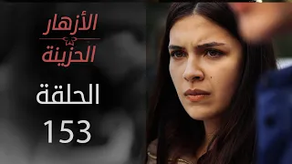 مسلسل الأزهار الحزينة | الحلقة 153 نهاية الموسم الأول