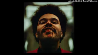The Weeknd - Save Your Tears (Almost Studio Acapella) [BEST ON YOUTUBE]