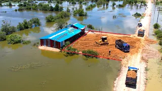 Completed 100%  D51PX Bulldozer Pushing Soil Pond Filling Up And Dump Truck Unloading and Delivery