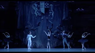 Bolshoi Ballet in cinema | Swan Lake - act II (extract)