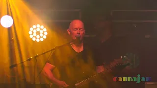 Echoes of Pink Floyd Performs "Comfortably Numb" live at Cannajam Fest 2021