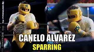 Canelo Alvarez Sparring