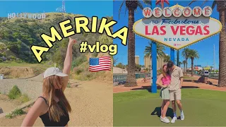 Vlog: ONZE REIS NAAR AMERIKA🇺🇸🌵- STIEN EDLUND