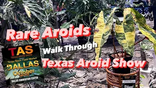 Texas Aroid Show - Rare Aroids for your Plant Collection