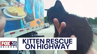 Kitten rescued from busy Florida highway by police officer