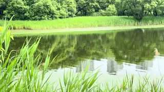 이 소리 들으려 산책😃🦜🦆🐠🥰💕