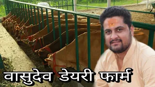 High-Tech Jersey Cow Dairy Farm कैसे शुरू करें - Vasudev Dairy Farm Sirsa Haryana