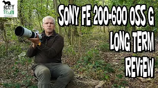 My Final Review of the Sony FE 200-600 G Lens. Is it any good?