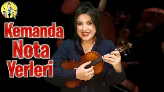 KEMANDA NOTA YERLERİ - DİLARA BAYKAL