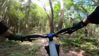 またまた愉快な仲間たちとトレイル〜⛰️