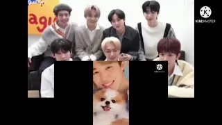 ENHYPEN REACTION TO BTS KUMPULAN TIKTOK JIMIN JUNGKOOK PESONA GANTENGNYA BIKIN JANTUNG GAK AMAN♥️😀