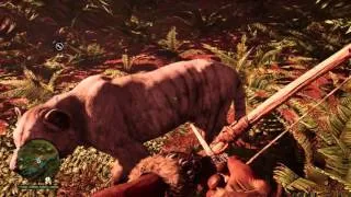 Far Cry Primal - Takkar Tames Cave Lion (Statistics) Wholly Rhino Random Attack Gameplay Sequence