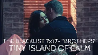 The Blacklist - 7x17 | Ending Scene (Liz & Ressler)
