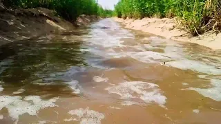 River coming ,,,, Our farmers are wellcomeg the river with poojai