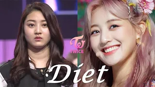 SUB) How TWICE Lose Weight (Korean Diet Doctor)