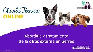 Abordaje y tratamiento de la otitis externa en perros