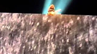 Roger Waters - Comfortably Numb (The Wall Tour 2012, Philip's Arena, Atlanta, GA)