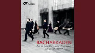 J.S. Bach: Ich will den Kreuzstab gerne tragen, Cantata BWV 56 - V. Komm, o Tod, du Schlafes Bruder