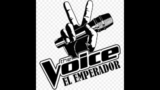 TOP10 TITANIUM THE VOICE EL EMPERADOR