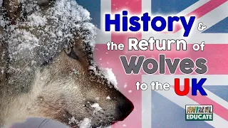 History and the return of Wolves to the UK - Rewilding Britain