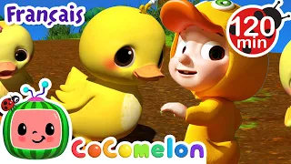 Dix petits canards | Chansons pour Bébés | CoComelon Le coin des Animaux de JJ - Comptines