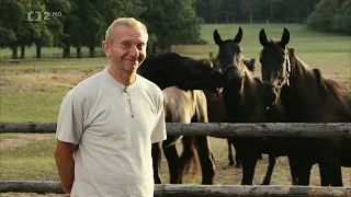 TOULKY ČESKEM: Železné hory - Klenoty naší krajiny (Česká televize, 2016)