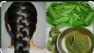 carry leaves hair pack for hair fall