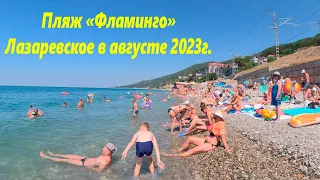 Пляж "Фламинго" в августе 2023г. Лето, водичка супер!🌴ЛАЗАРЕВСКОЕ СЕГОДНЯ🌴СОЧИ.