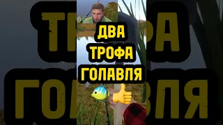 🔴ПОДРЯД ДВА ТРОФА🤯 #русскаярыбалка4 #рр4 #рр4фарм #russianfishing4