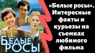 «Белые росы». Интересные факты и курьезы на съемках любимого фильма