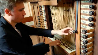 The Matheu Bosch-Organ of the Sant Pere Church in Sencelles (Spain) - Organ Demonstration - Paul Fey