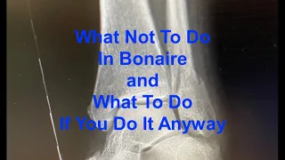 #98 - What Not To Do In Bonaire And What To Do If You Do It Anyway