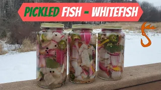 Pickled Fish - Whitefish (One of the Best Ways to Eat Fish!!!)