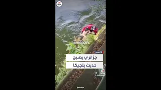 أنقذها من الموت.. شجاعة شاب جزائري تثير إعجاب الشارع البلجيكي
