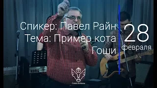 28.02.18 Павел Райн - Пример кота Гоши