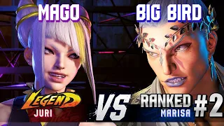 SF6 ▰ MAGO (Juri) vs BIG BIRD (#2 Ranked Marisa) ▰ High Level Gameplay