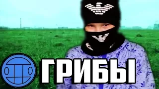 ШКОЛЬНИКИ ПЕРЕПЕЛИ ГРУППУ ГРИБЫ - ТАЕТ ЛЕД! ПАРОДИЯ! // КОТ