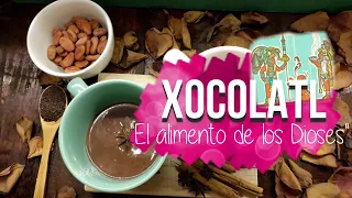 "XOCOLATL" BEBIDA DE DIOSES PREHISPÁNICOS☕ the Original Hot Chocolate❄ CACAO PURO|||RECETA FÁCIL🔥