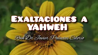 Exaltaciones a Yahweh - Roeh Dr Javier Palacios Celorio