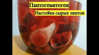 Пантогематоген. Настойка сырых Пантов.