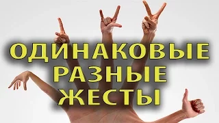 Язык жестов в разных странах # FunGimal